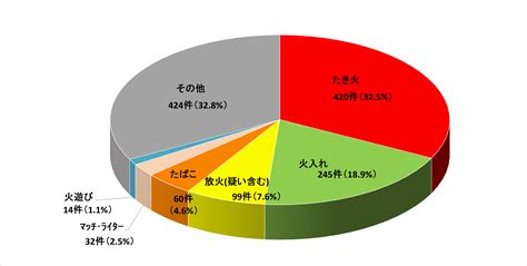 蛇山火事|山火事の直接的な原因にはどのようなもの ...